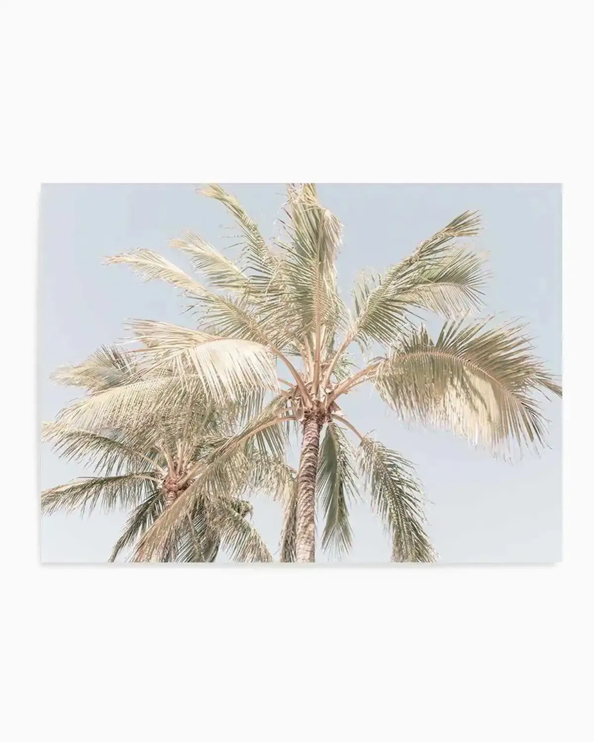 Noosa Palms I | LS Art Print from Olive et Oriel where you can shop wallpaper and artworks online
