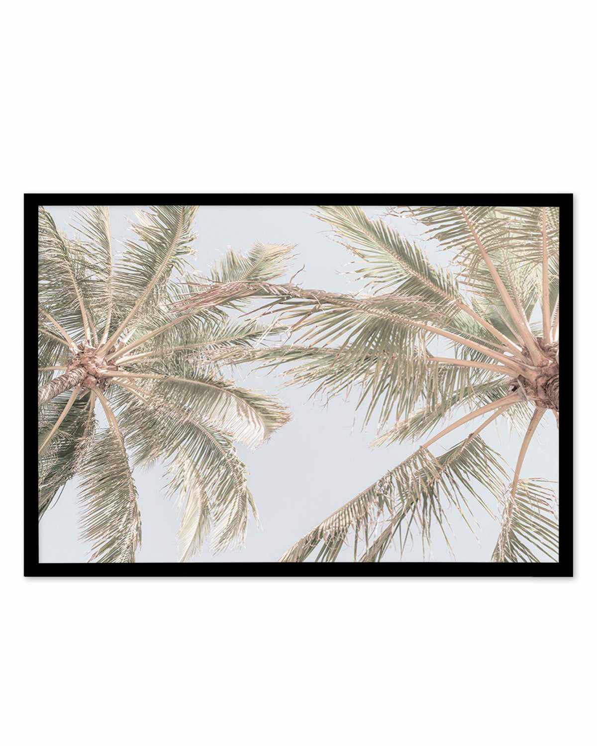 Noosa Palms II Art Print