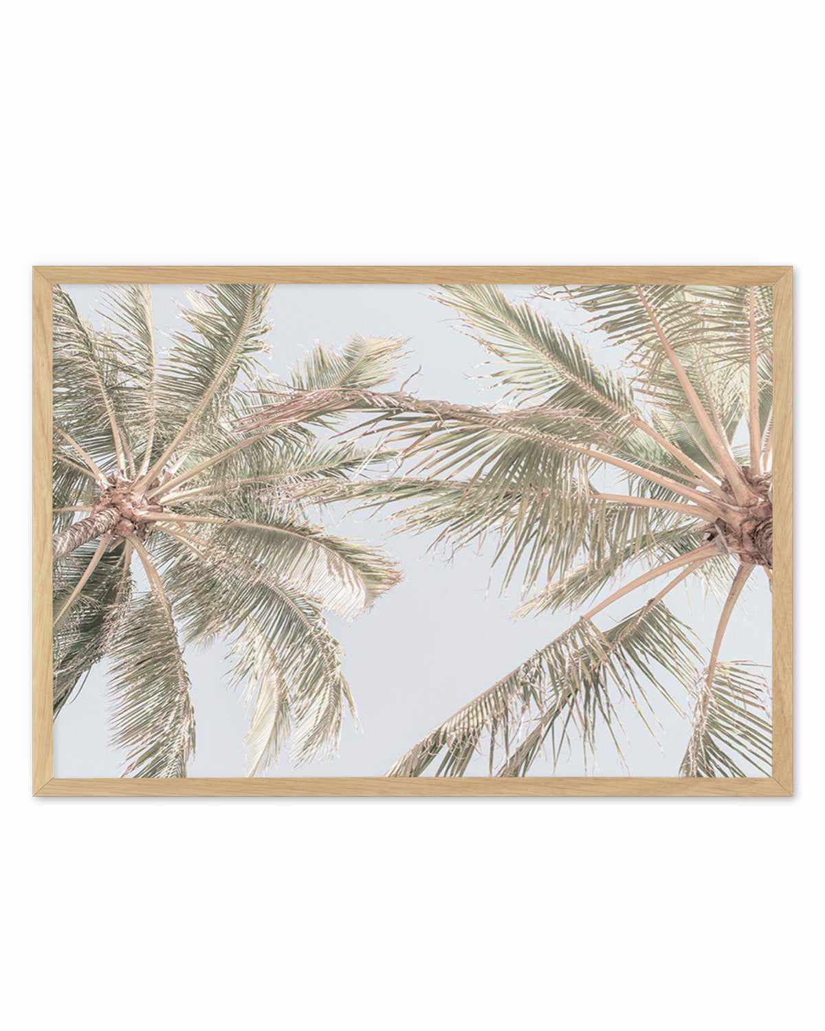 Noosa Palms II Art Print