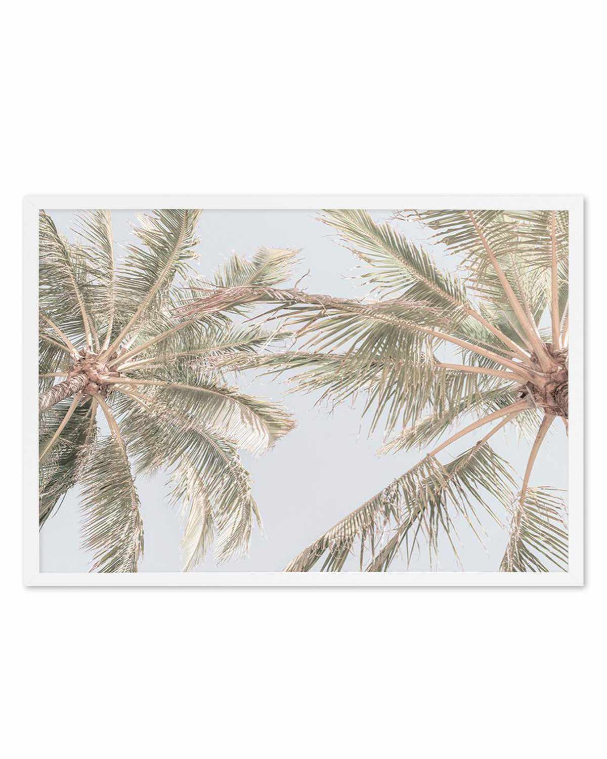 Noosa Palms II Art Print