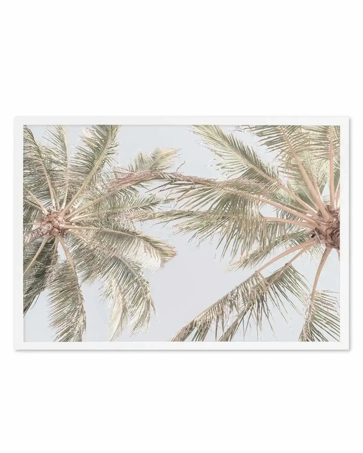 Noosa Palms II Art Print from Olive et Oriel where you can shop wallpaper and artworks online