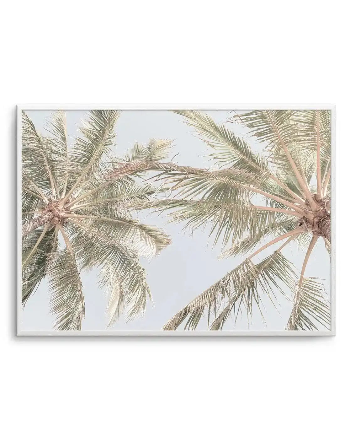 Noosa Palms II Art Print-PRINT-Olive et Oriel-Olive et Oriel-A4 | 8.3" x 11.7" | 21 x 29.7cm-Unframed Art Print-With White Border-Buy-Australian-Art-Prints-Online-with-Olive-et-Oriel-Your-Artwork-Specialists-Austrailia-Decorate-With-Coastal-Photo-Wall-Art-Prints-From-Our-Beach-House-Artwork-Collection-Fine-Poster-and-Framed-Artwork