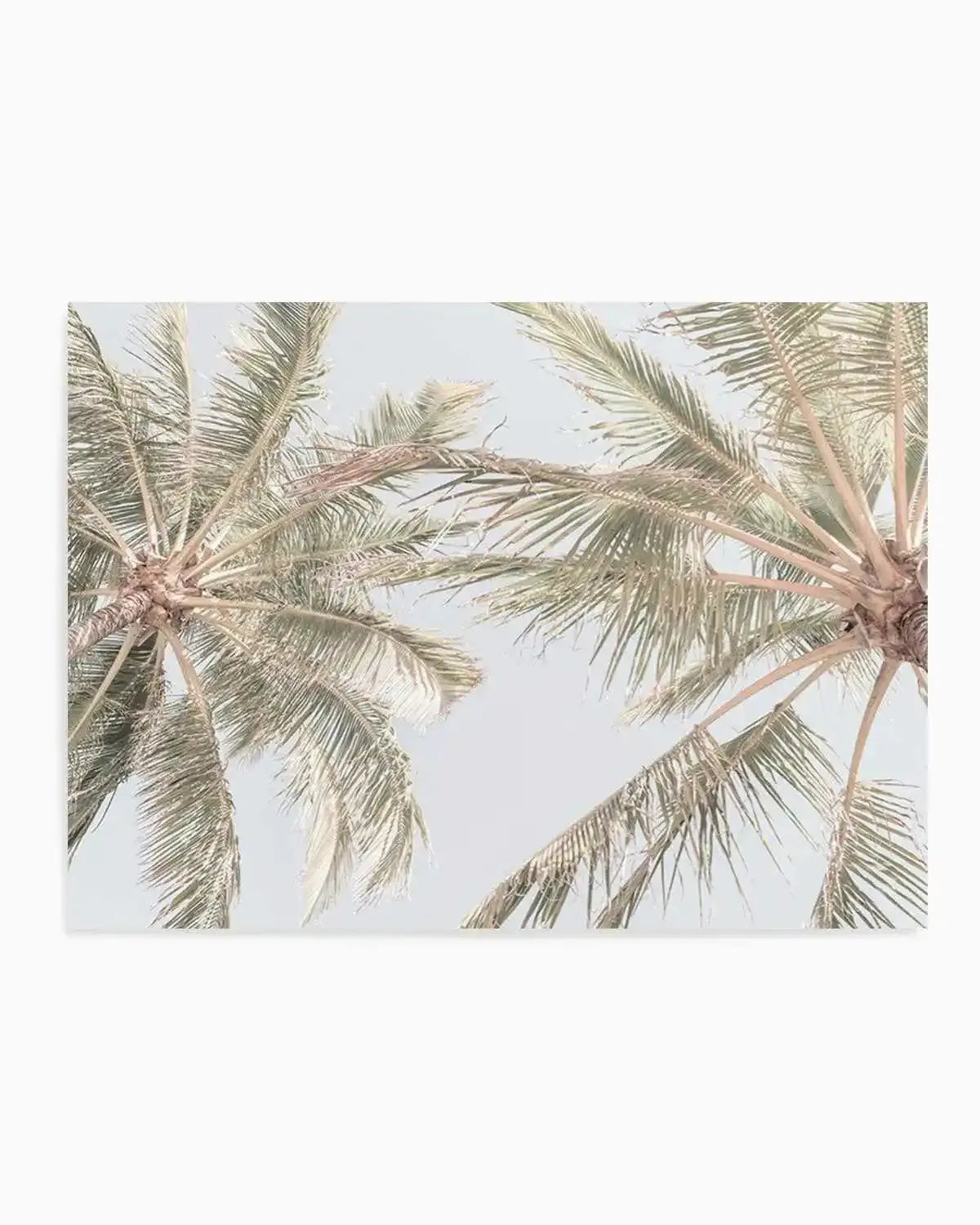 Noosa Palms II Art Print from Olive et Oriel where you can shop wallpaper and artworks online