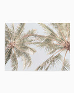 Noosa Palms II Art Print