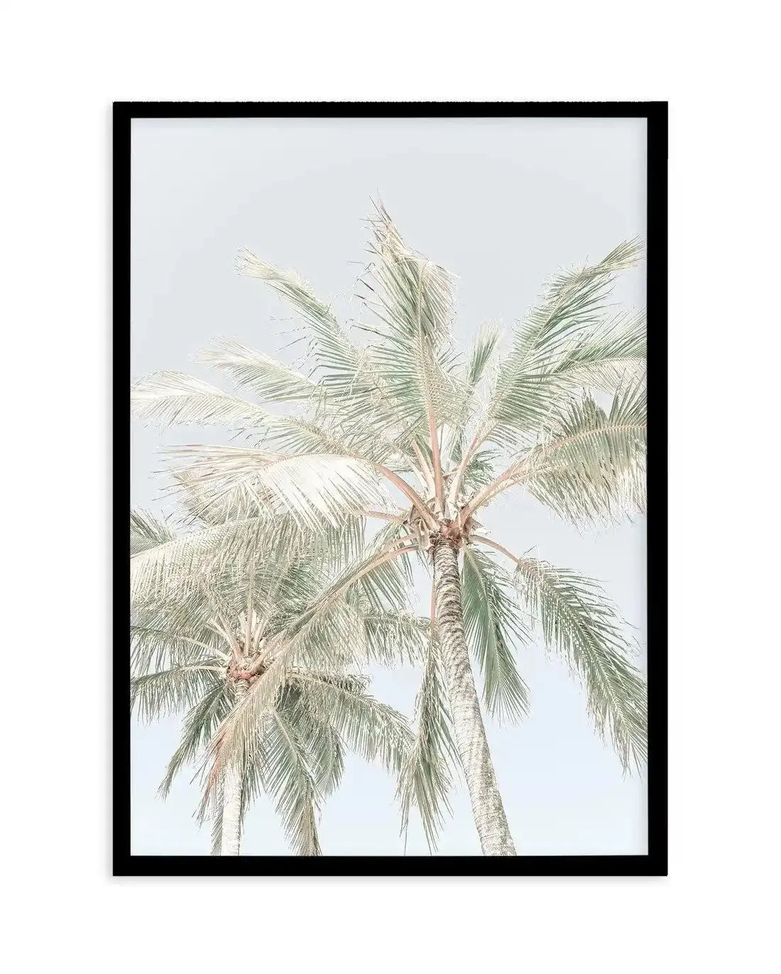 Noosa Palms | PT Art Print-PRINT-Olive et Oriel-Olive et Oriel-A4 | 8.3" x 11.7" | 21 x 29.7cm-Black-With White Border-Buy-Australian-Art-Prints-Online-with-Olive-et-Oriel-Your-Artwork-Specialists-Austrailia-Decorate-With-Coastal-Photo-Wall-Art-Prints-From-Our-Beach-House-Artwork-Collection-Fine-Poster-and-Framed-Artwork