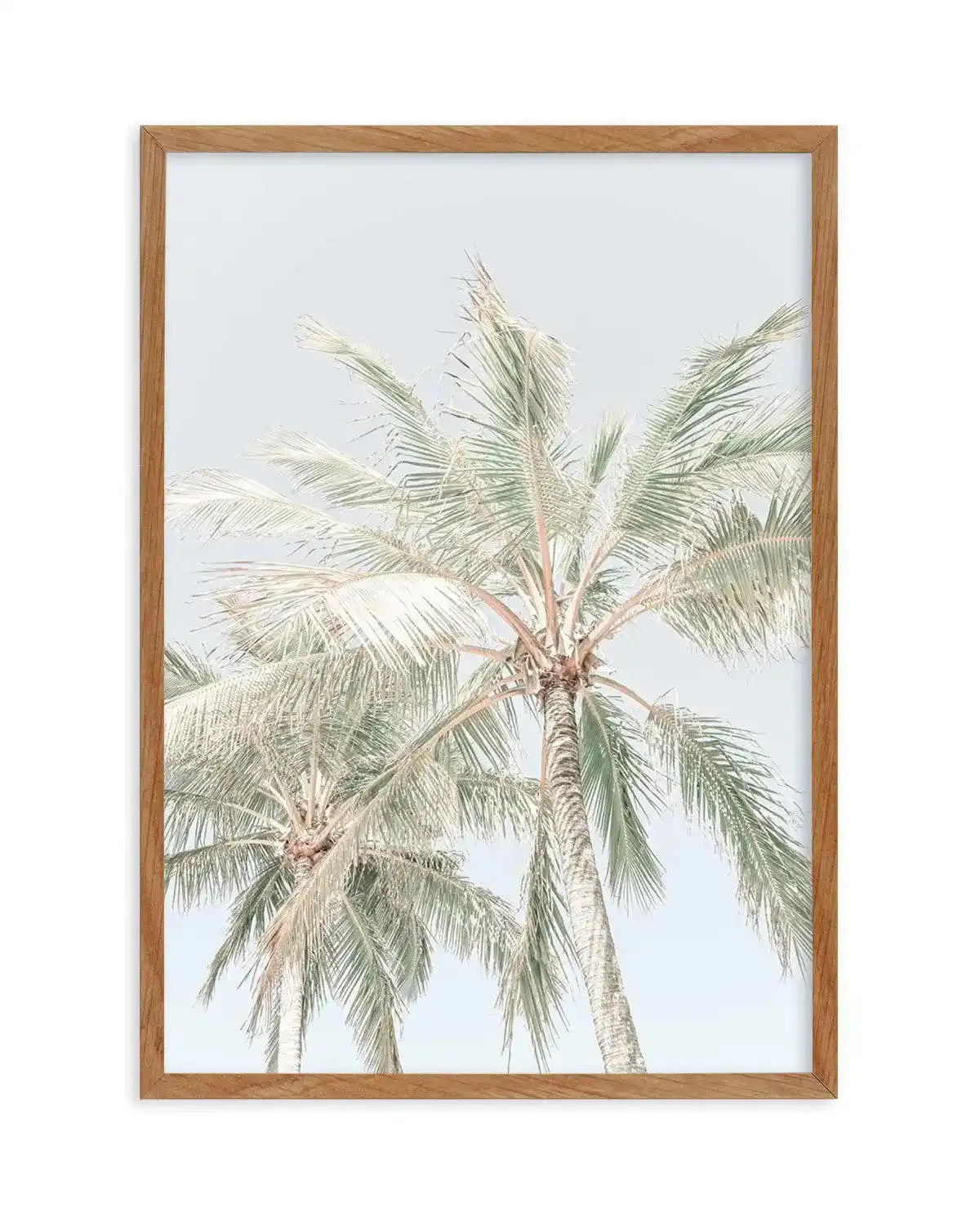 Noosa Palms | PT Art Print-PRINT-Olive et Oriel-Olive et Oriel-50x70 cm | 19.6" x 27.5"-Walnut-With White Border-Buy-Australian-Art-Prints-Online-with-Olive-et-Oriel-Your-Artwork-Specialists-Austrailia-Decorate-With-Coastal-Photo-Wall-Art-Prints-From-Our-Beach-House-Artwork-Collection-Fine-Poster-and-Framed-Artwork