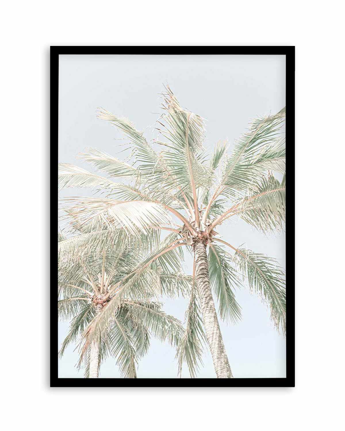 Noosa Palms | PT Art Print