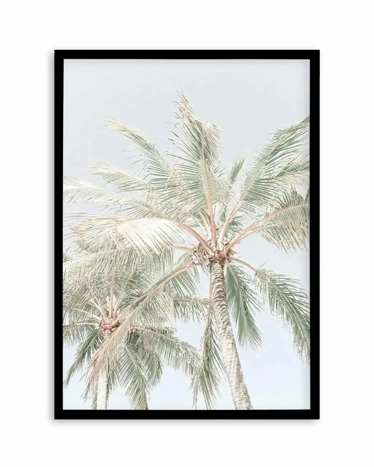 Noosa Palms | PT Art Print from Olive et Oriel where you can shop wallpaper and artworks online