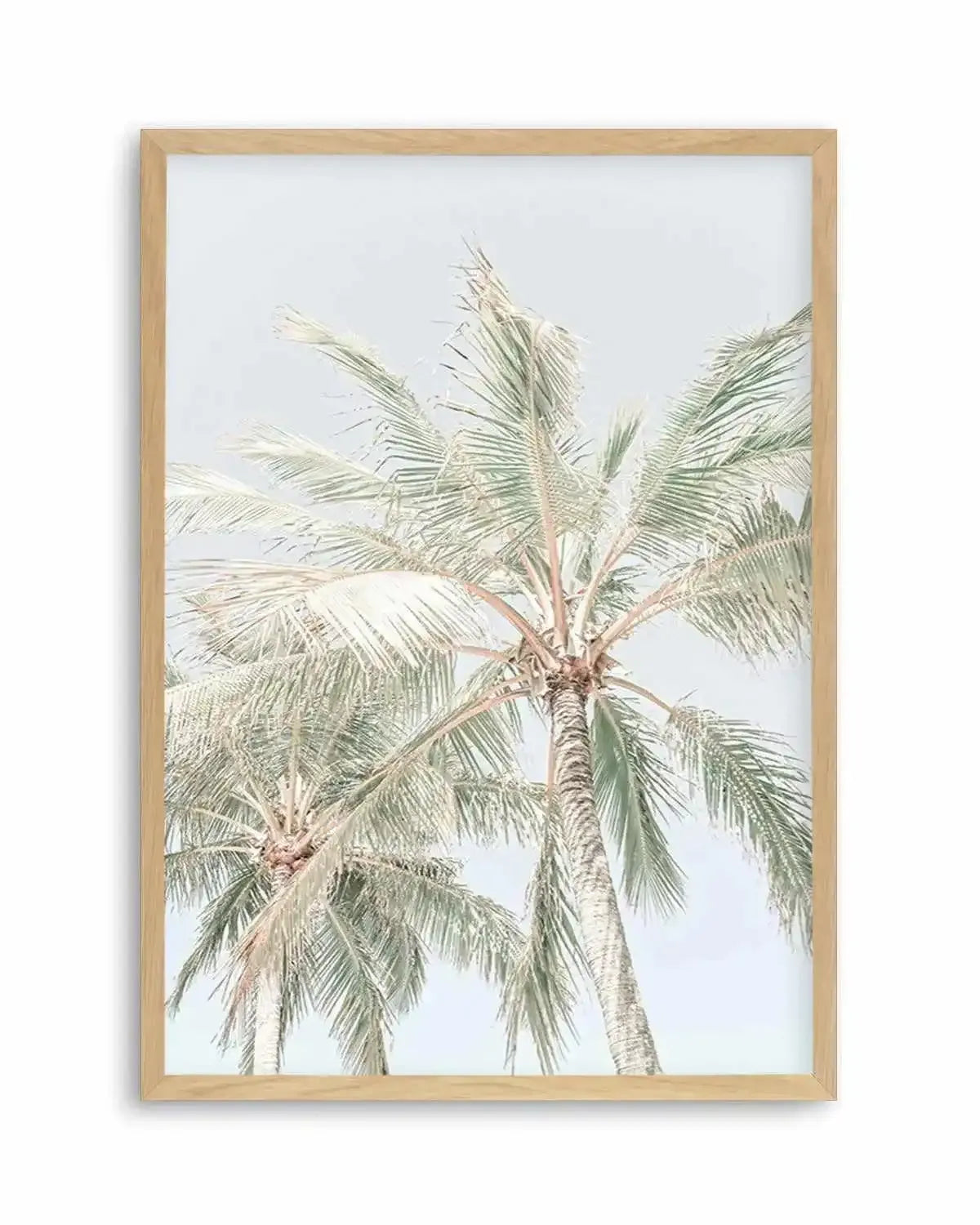 Noosa Palms | PT Art Print from Olive et Oriel where you can shop wallpaper and artworks online