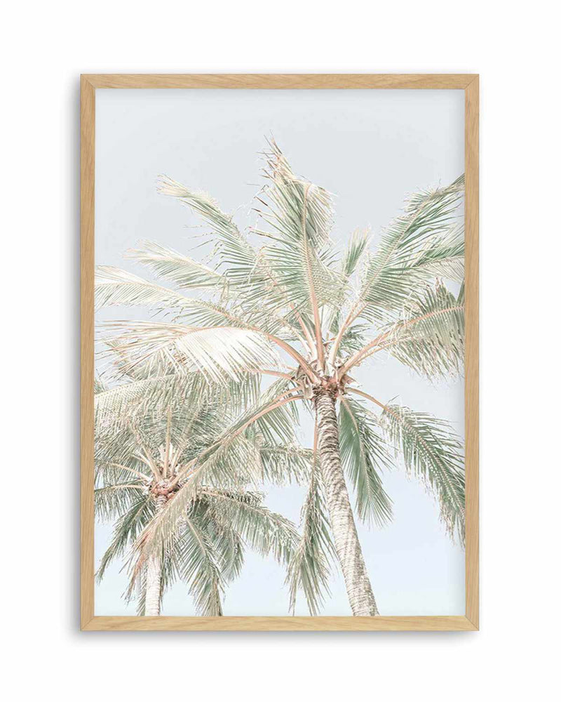 Noosa Palms | PT Art Print