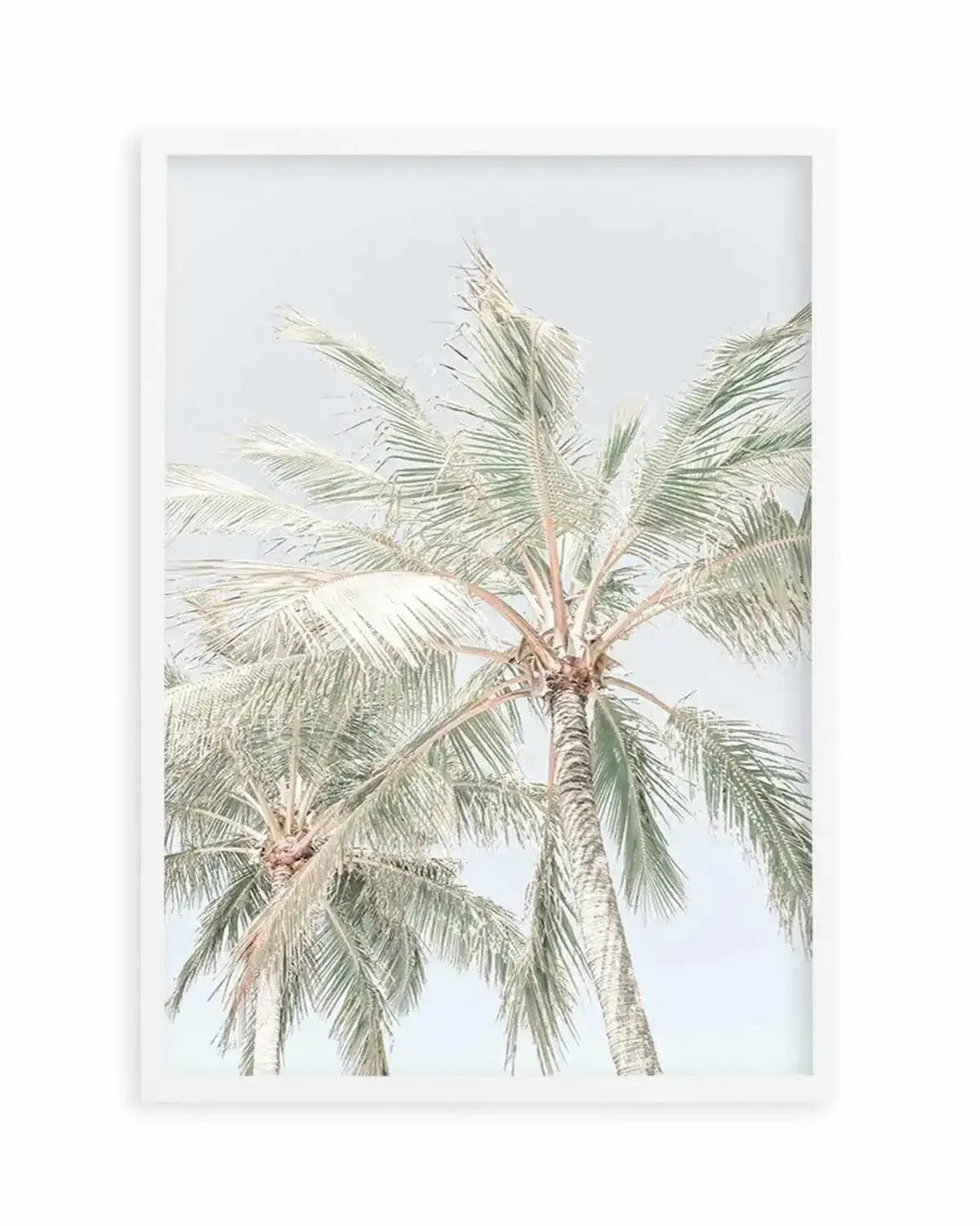 Noosa Palms | PT Art Print from Olive et Oriel where you can shop wallpaper and artworks online