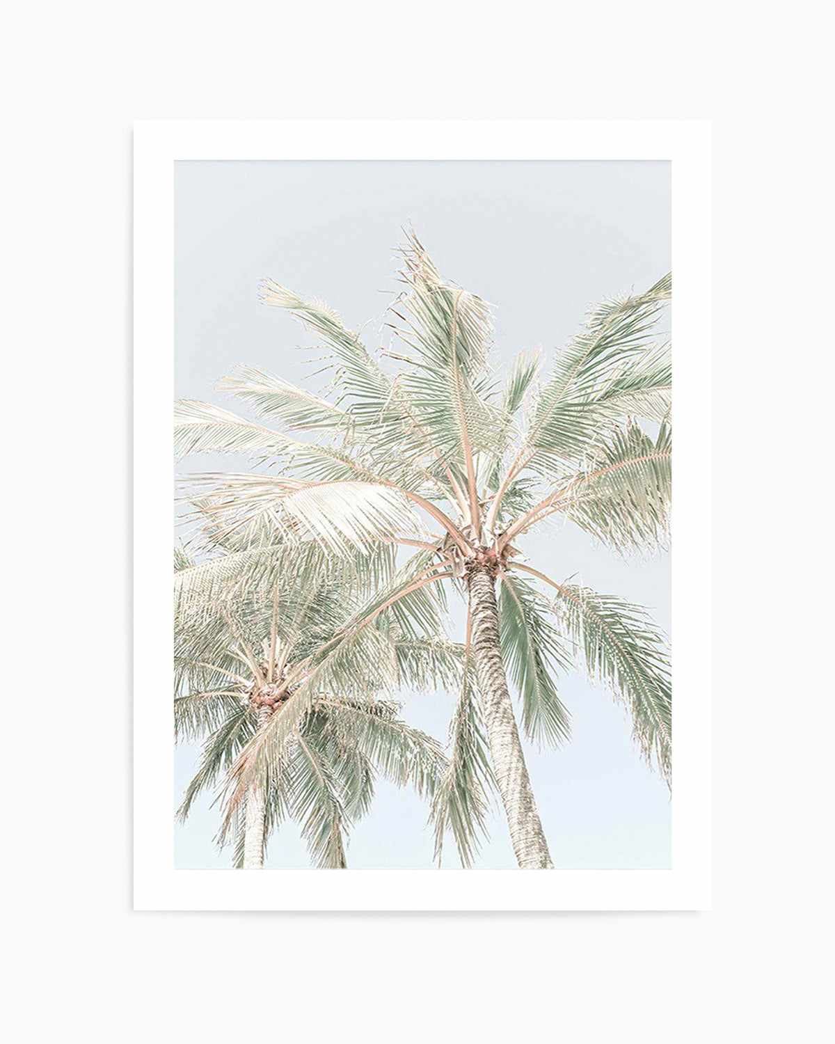 Noosa Palms | PT Art Print