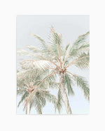 Noosa Palms | PT Art Print