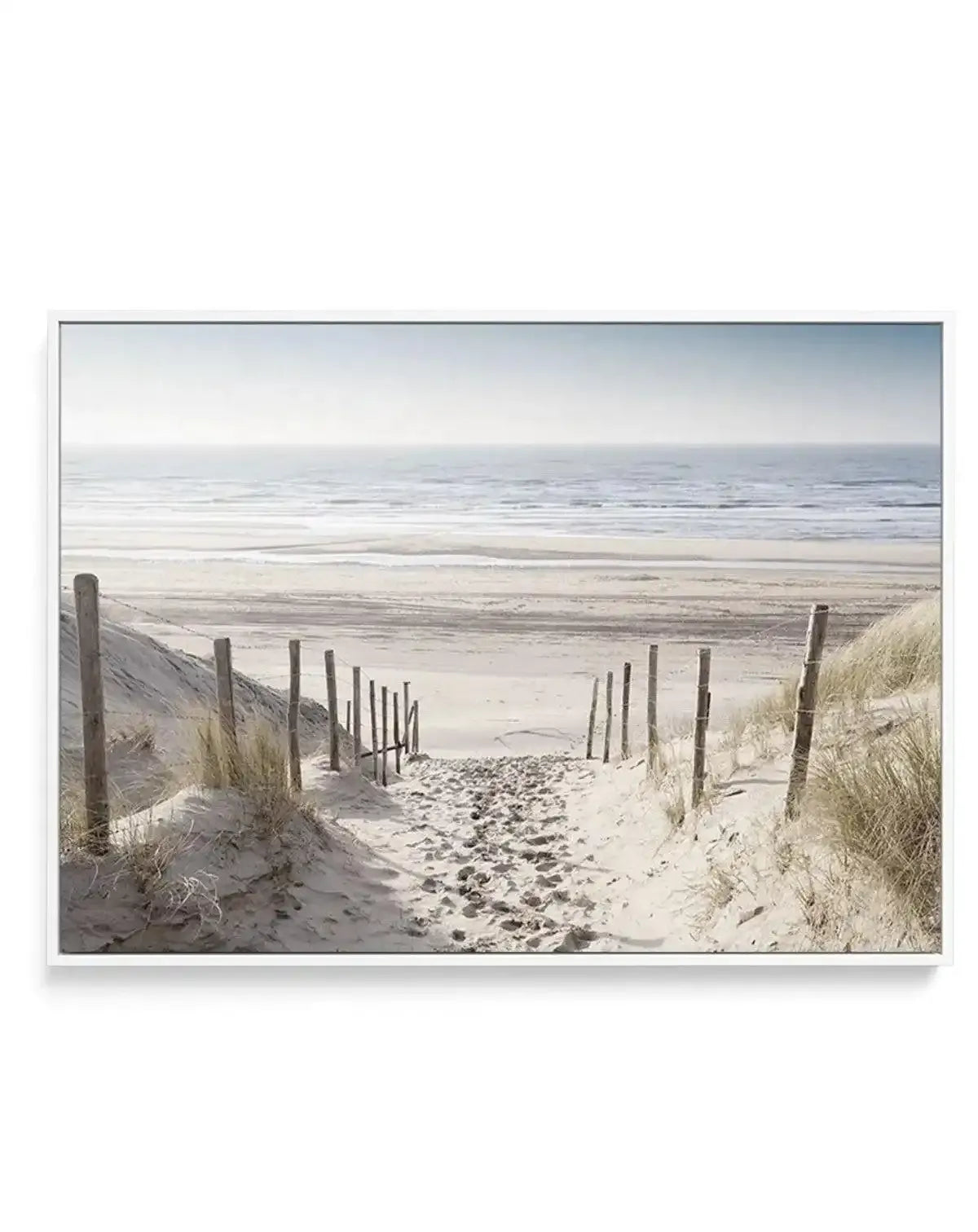North Sea Dunes | Netherlands | Framed Canvas-CANVAS-You can shop wall art online with Olive et Oriel for everything from abstract art to fun kids wall art. Our beautiful modern art prints and canvas art are available from large canvas prints to wall art paintings and our proudly Australian artwork collection offers only the highest quality framed large wall art and canvas art Australia - You can buy fashion photography prints or Hampton print posters and paintings on canvas from Olive et Oriel 