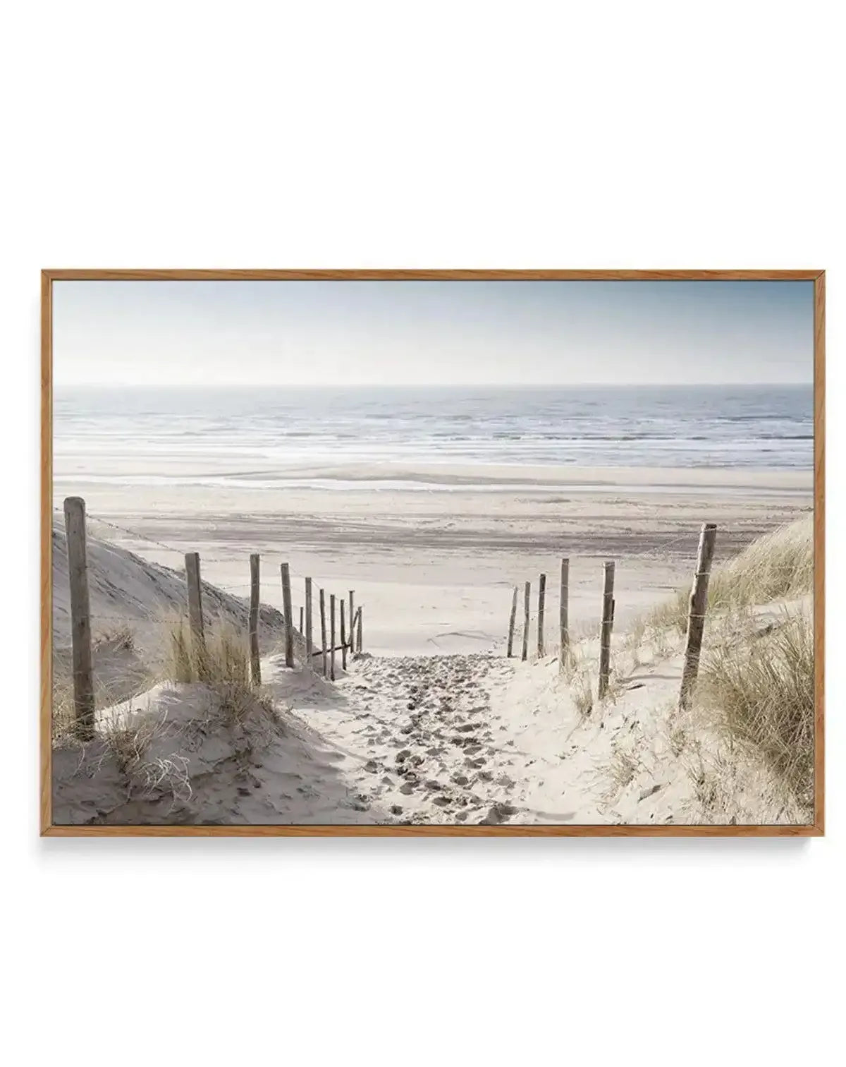 North Sea Dunes | Netherlands | Framed Canvas-CANVAS-You can shop wall art online with Olive et Oriel for everything from abstract art to fun kids wall art. Our beautiful modern art prints and canvas art are available from large canvas prints to wall art paintings and our proudly Australian artwork collection offers only the highest quality framed large wall art and canvas art Australia - You can buy fashion photography prints or Hampton print posters and paintings on canvas from Olive et Oriel 