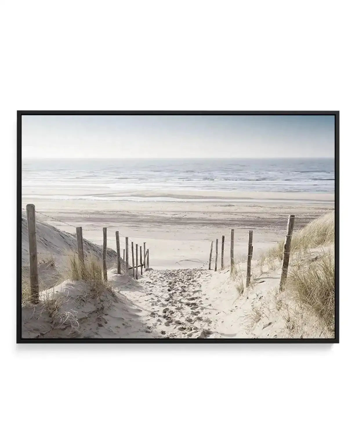 North Sea Dunes | Netherlands | Framed Canvas-CANVAS-You can shop wall art online with Olive et Oriel for everything from abstract art to fun kids wall art. Our beautiful modern art prints and canvas art are available from large canvas prints to wall art paintings and our proudly Australian artwork collection offers only the highest quality framed large wall art and canvas art Australia - You can buy fashion photography prints or Hampton print posters and paintings on canvas from Olive et Oriel 