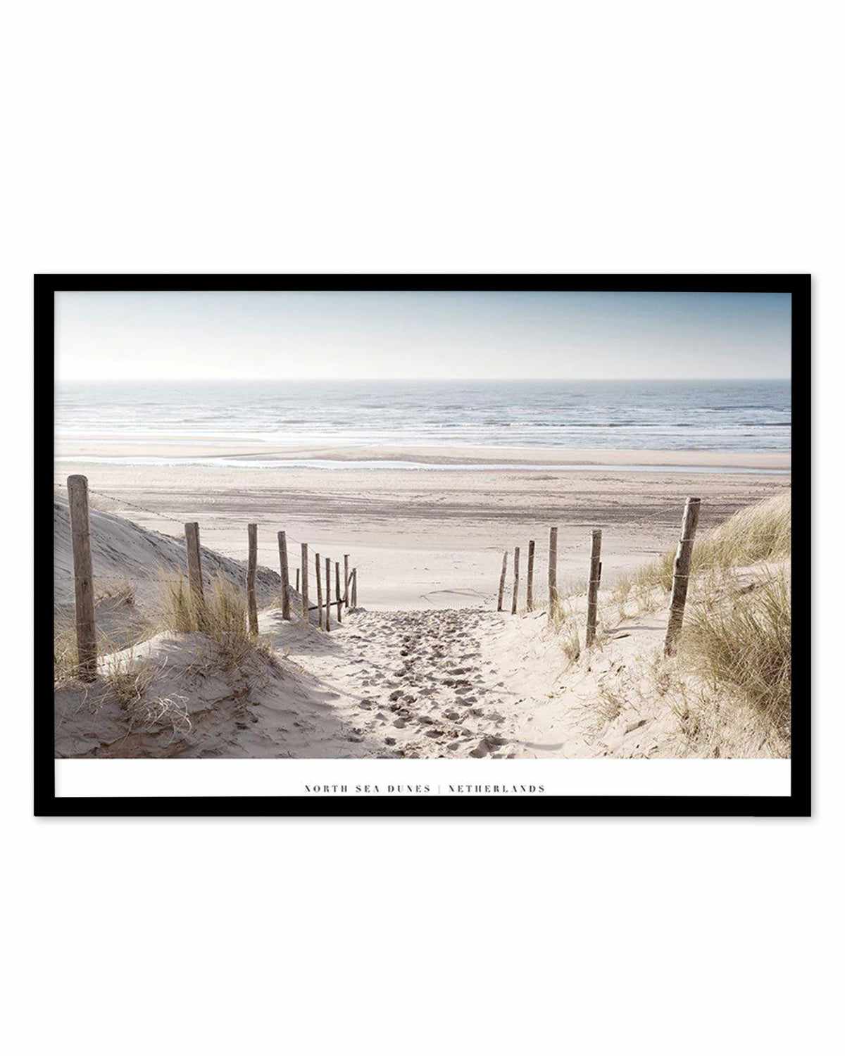 North Sea Dunes | Netherlands Art Print