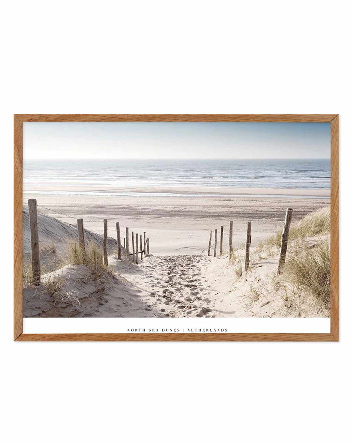 North Sea Dunes | Netherlands Art Print