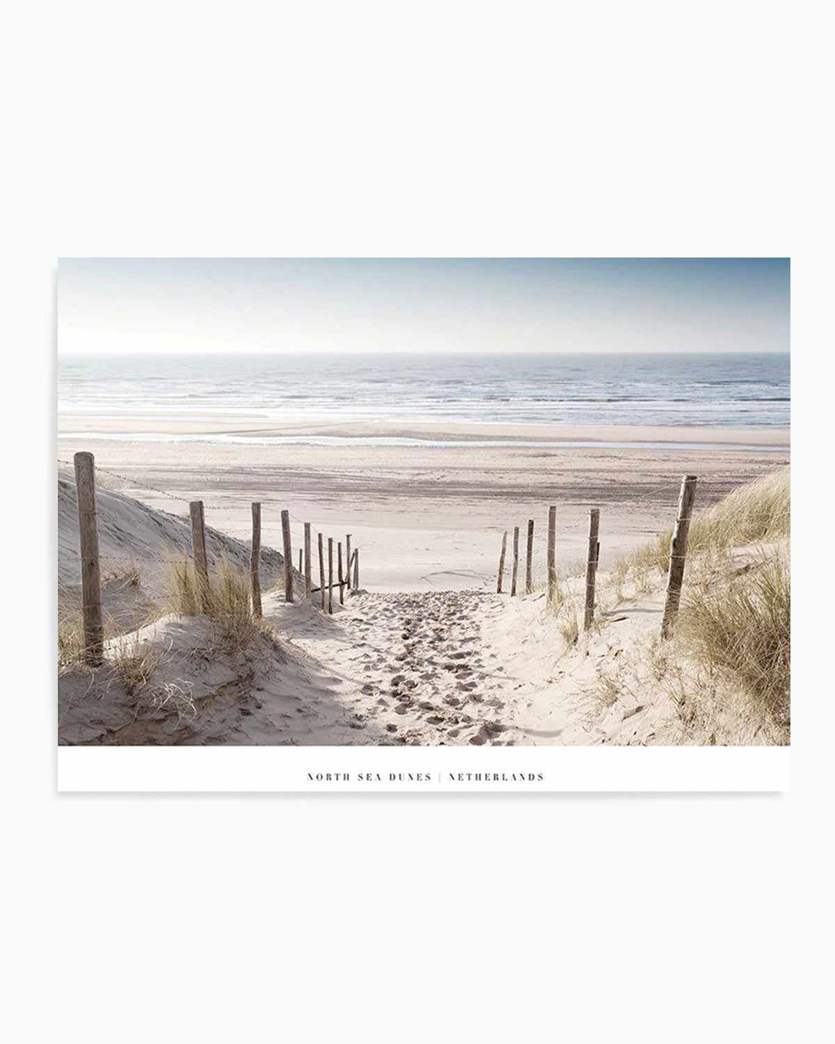 North Sea Dunes | Netherlands Art Print