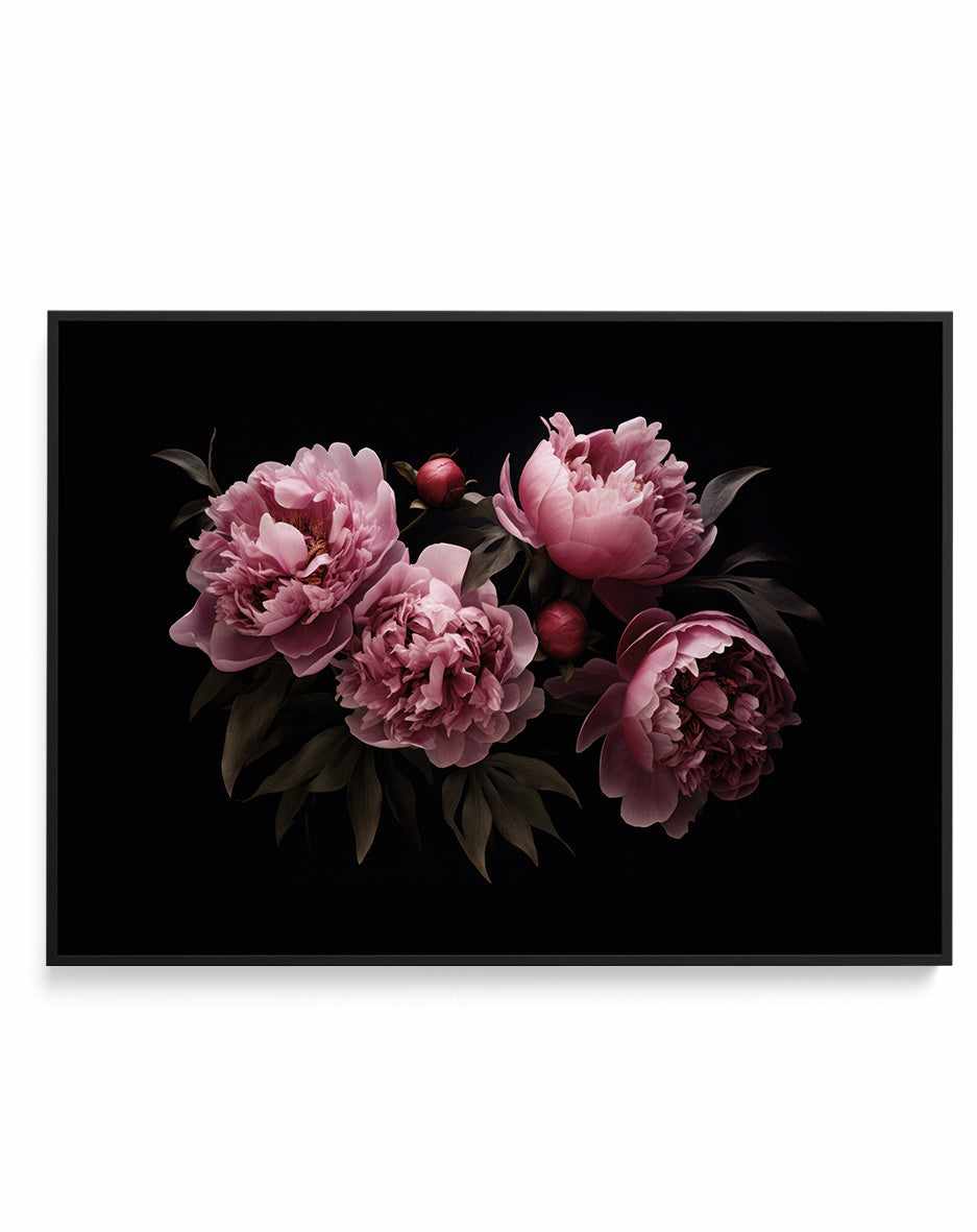 Nostalgic Mood Opulent Flowers By Andrea Haase | Framed Canvas Art Print