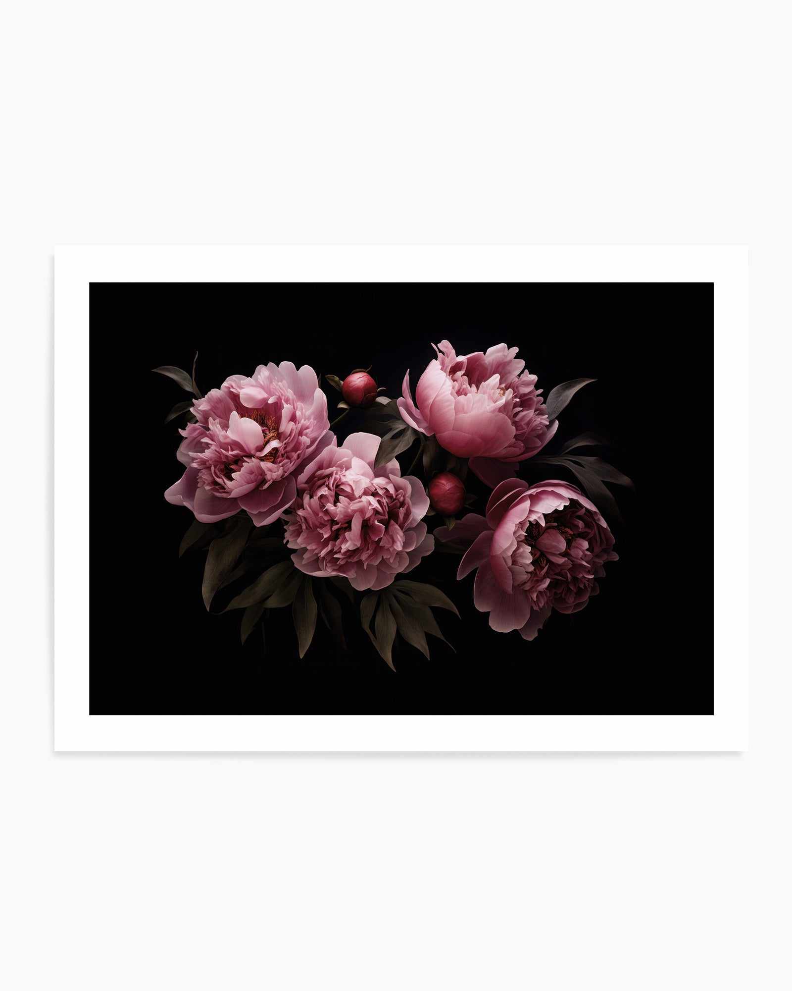 Nostalgic Mood Opulent Flowers By Andrea Haase | Art Print