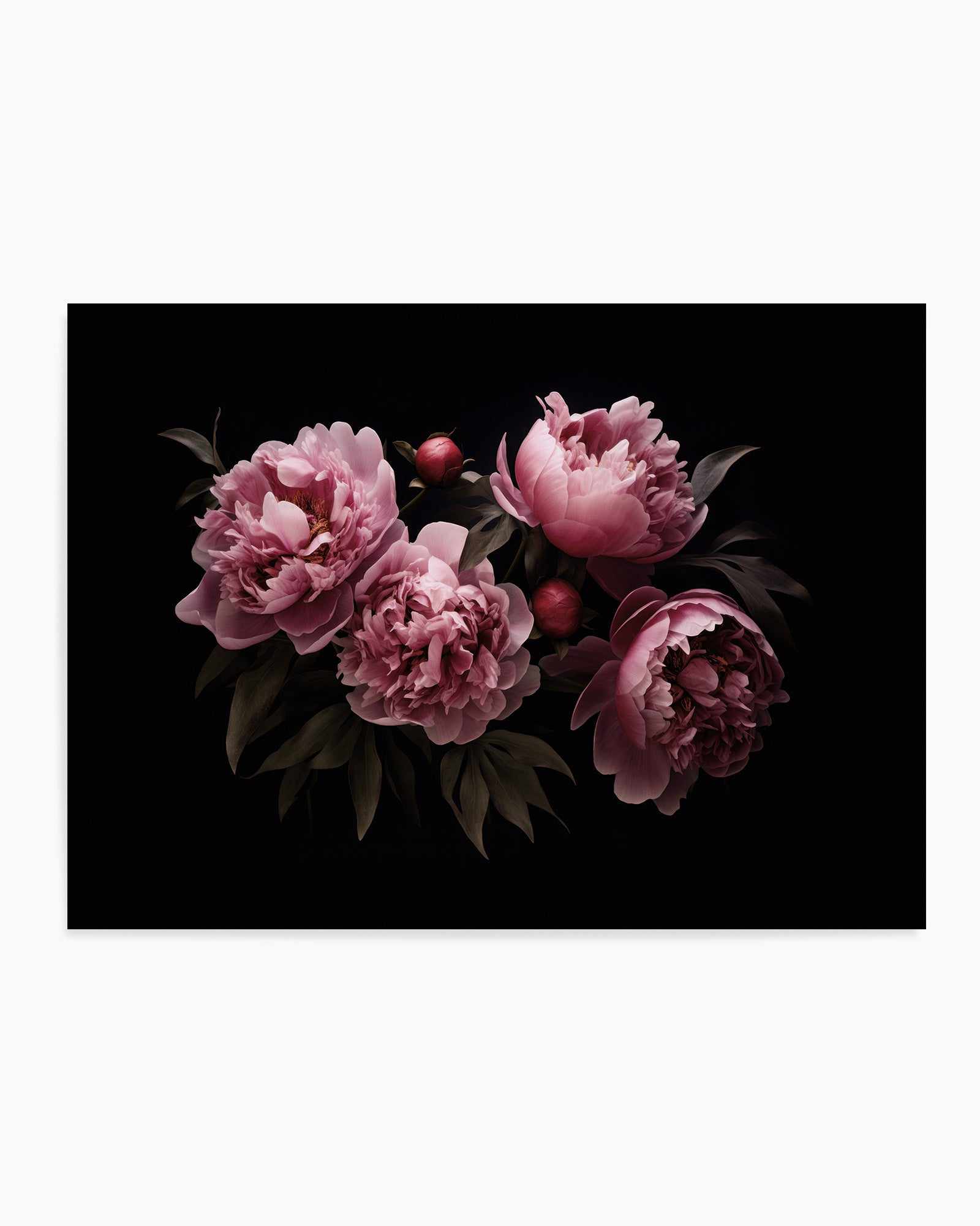 Nostalgic Mood Opulent Flowers By Andrea Haase | Art Print