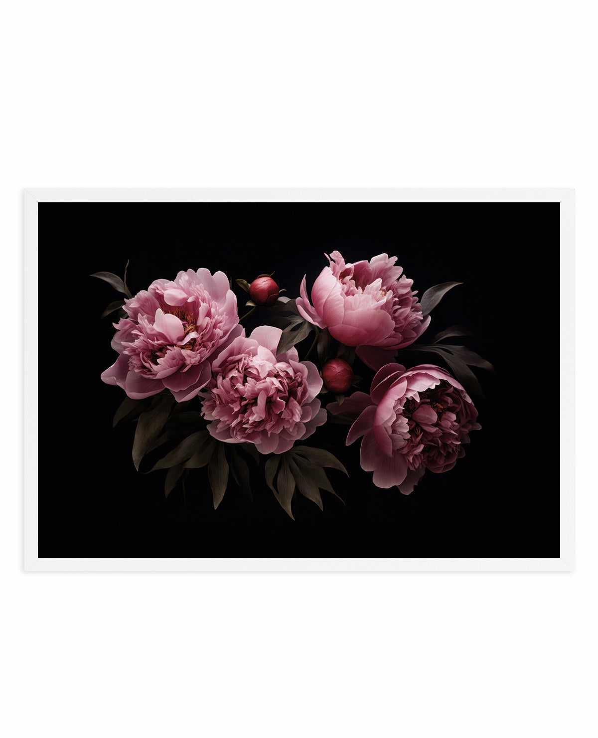 Nostalgic Mood Opulent Flowers By Andrea Haase | Art Print