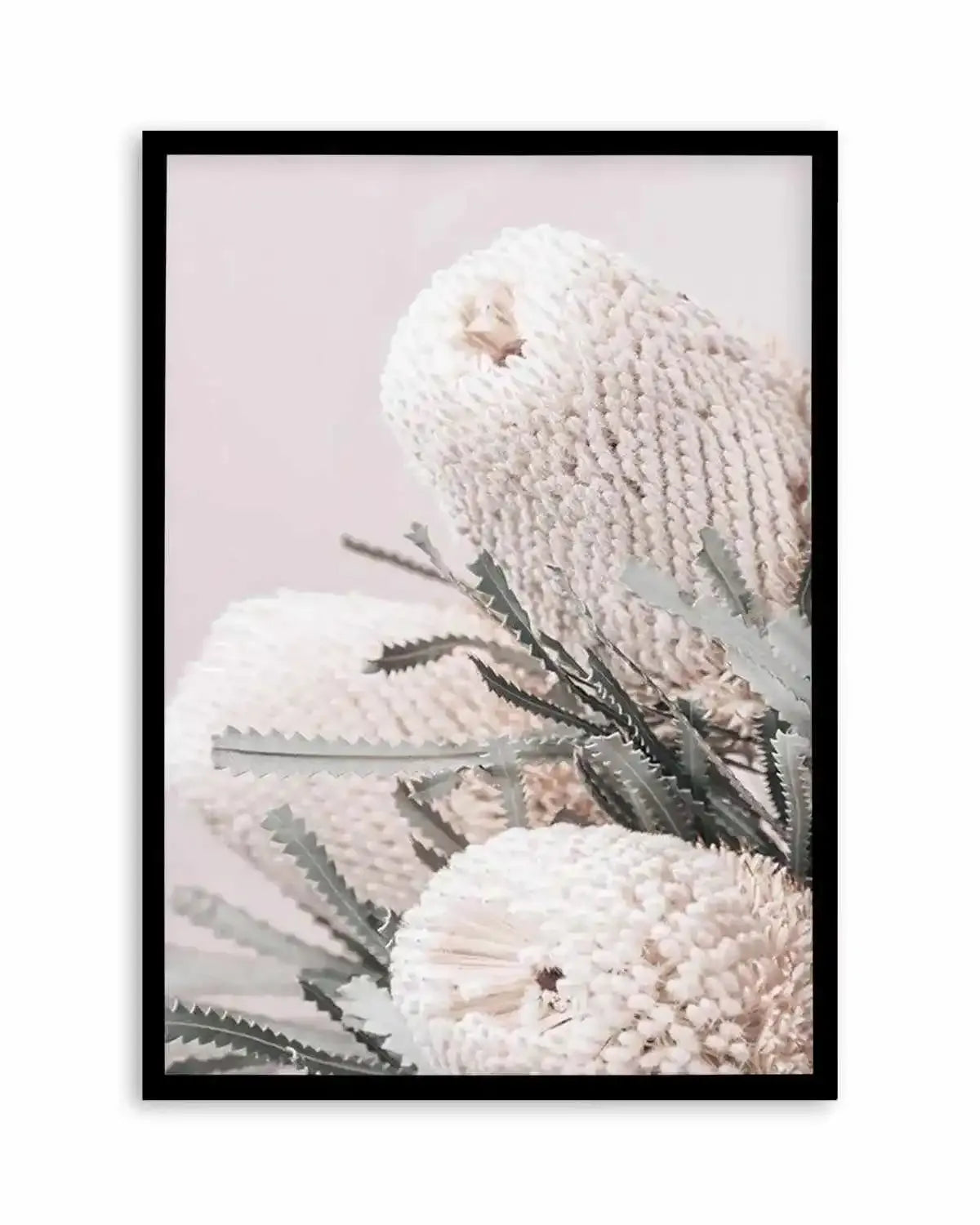 Nude Banksia I Art Print from Olive et Oriel where you can shop wallpaper and artworks online