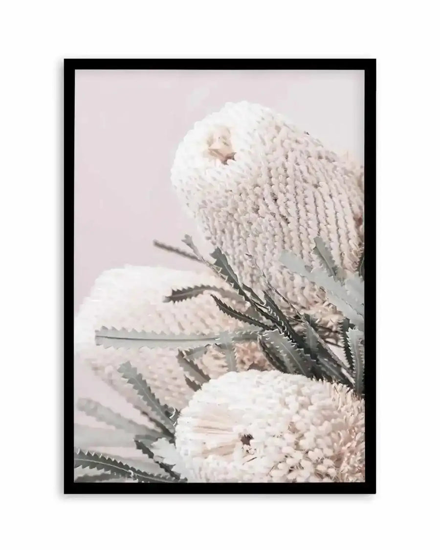 Nude Banksia I Art Print from Olive et Oriel where you can shop wallpaper and artworks online