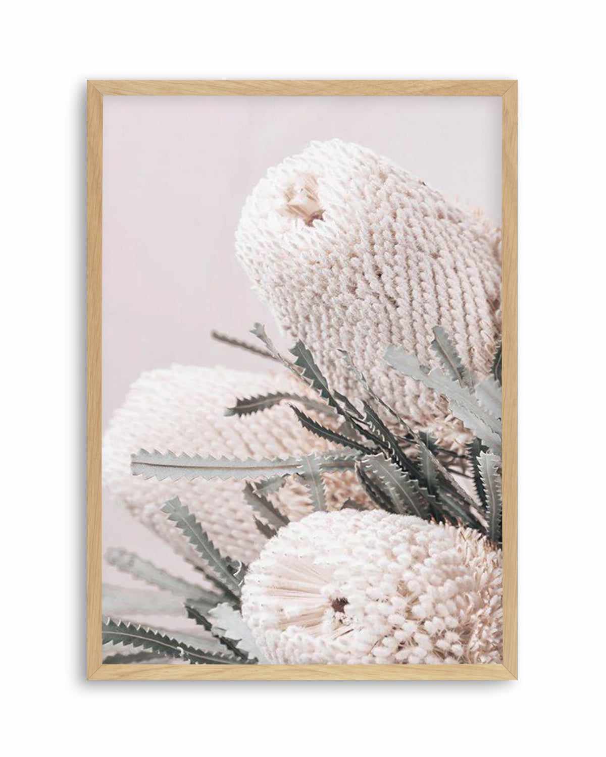 Nude Banksia I Art Print