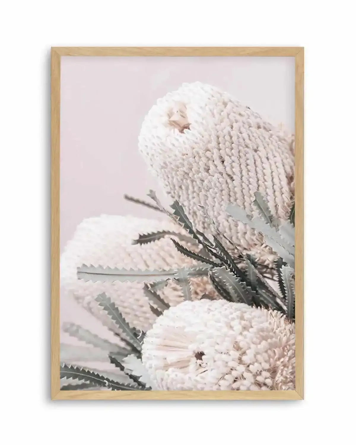 Nude Banksia I Art Print from Olive et Oriel where you can shop wallpaper and artworks online