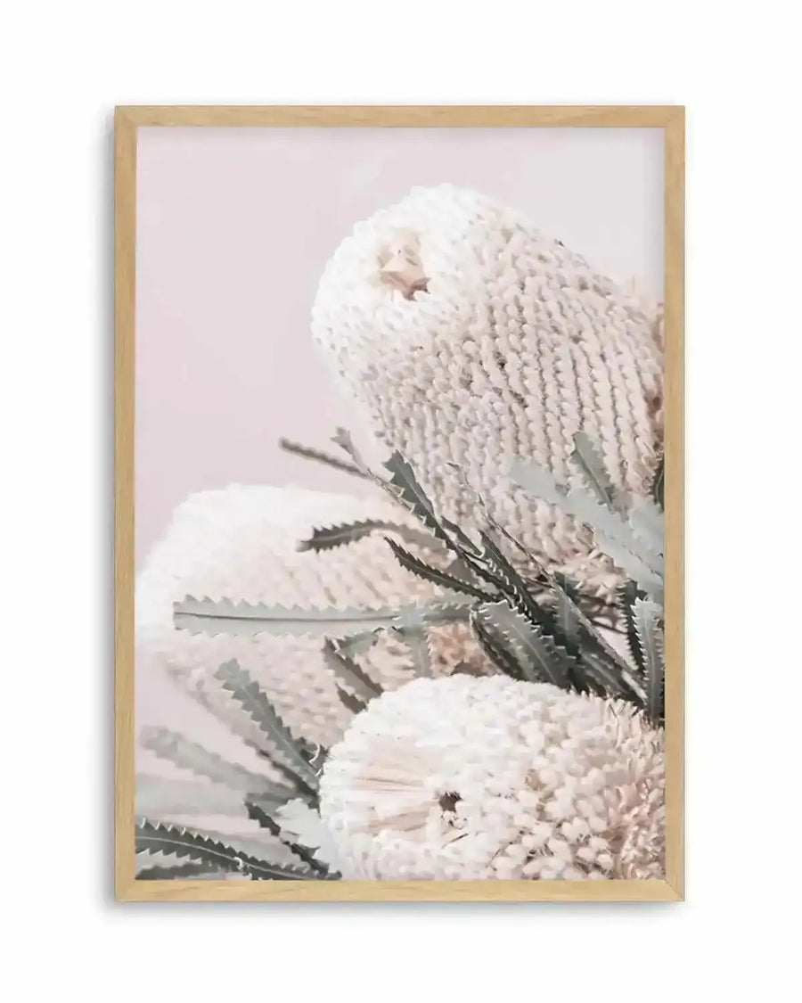 Nude Banksia I Art Print from Olive et Oriel where you can shop wallpaper and artworks online