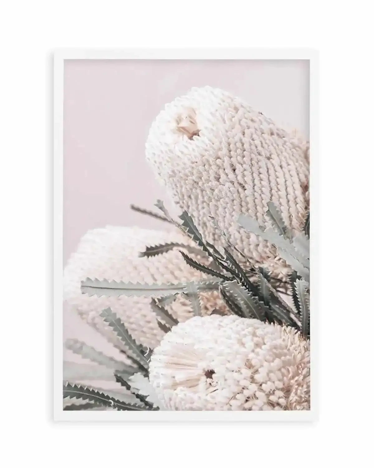 Nude Banksia I Art Print from Olive et Oriel where you can shop wallpaper and artworks online