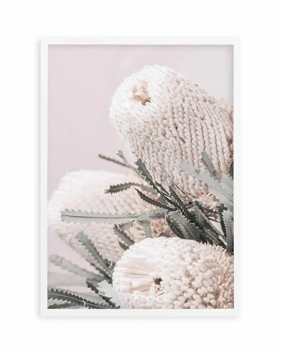 Nude Banksia I Art Print from Olive et Oriel where you can shop wallpaper and artworks online