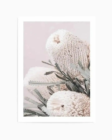 Nude Banksia I Art Print from Olive et Oriel where you can shop wallpaper and artworks online