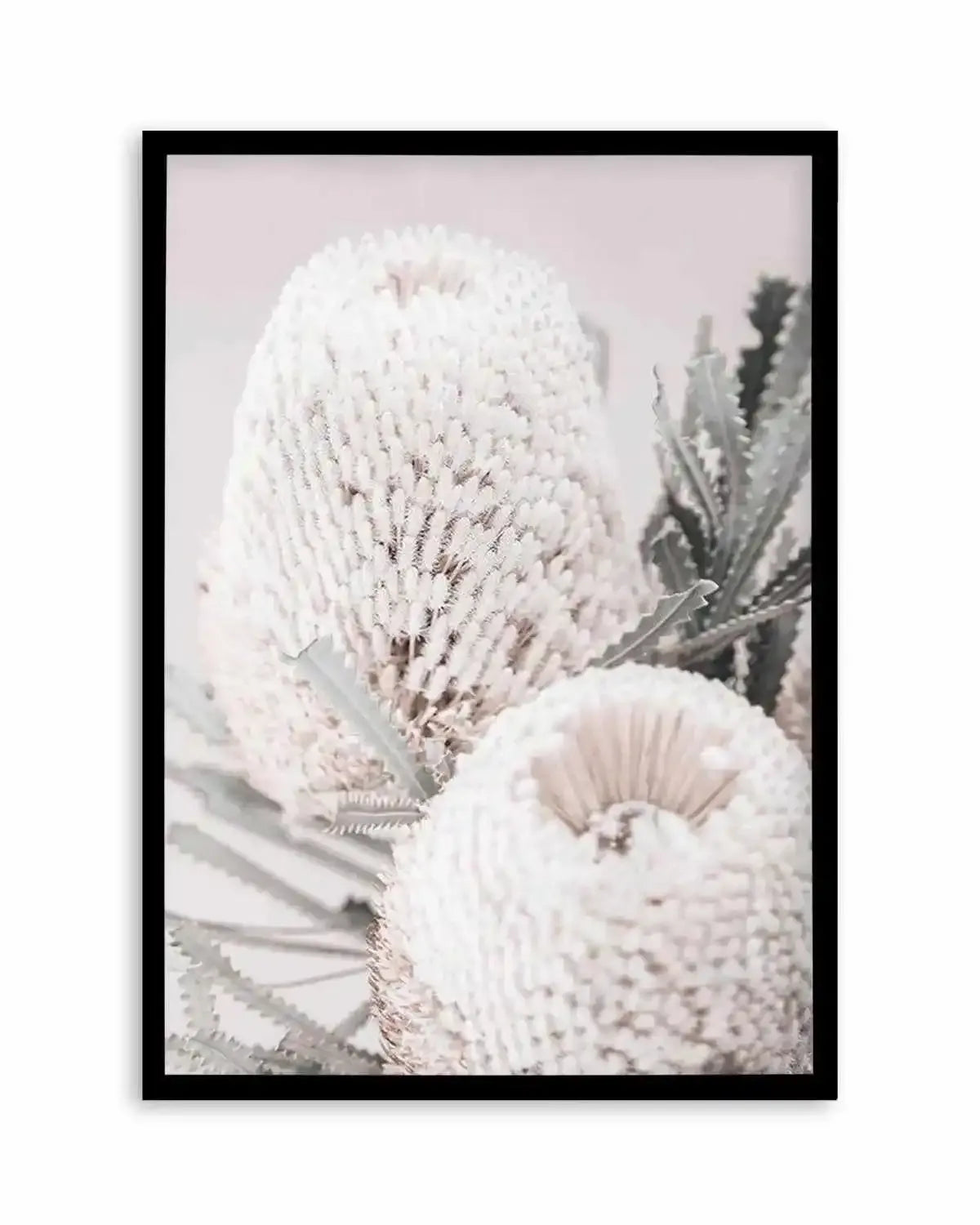 Nude Banksia II Art Print from Olive et Oriel where you can shop wallpaper and artworks online