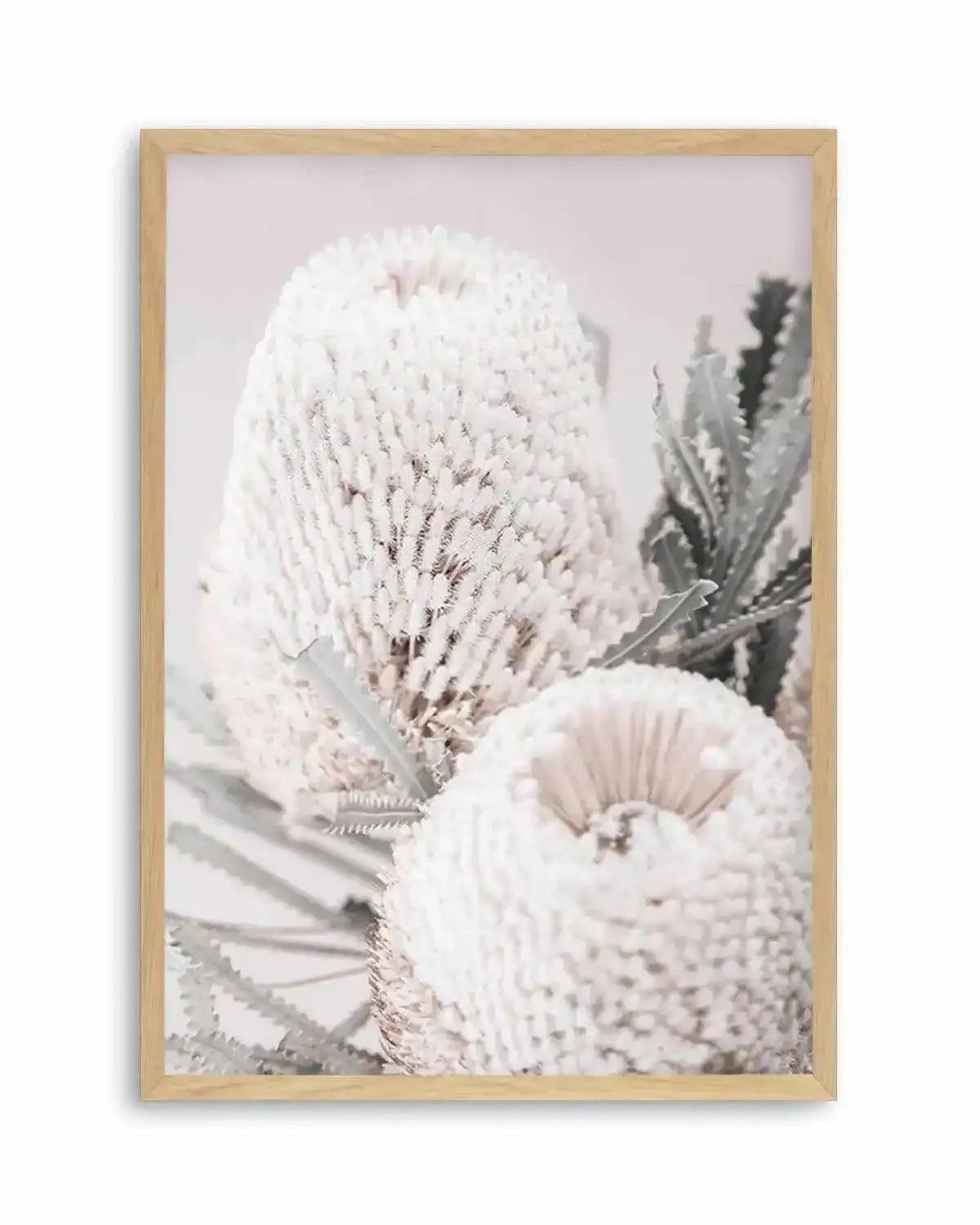 Nude Banksia II Art Print from Olive et Oriel where you can shop wallpaper and artworks online