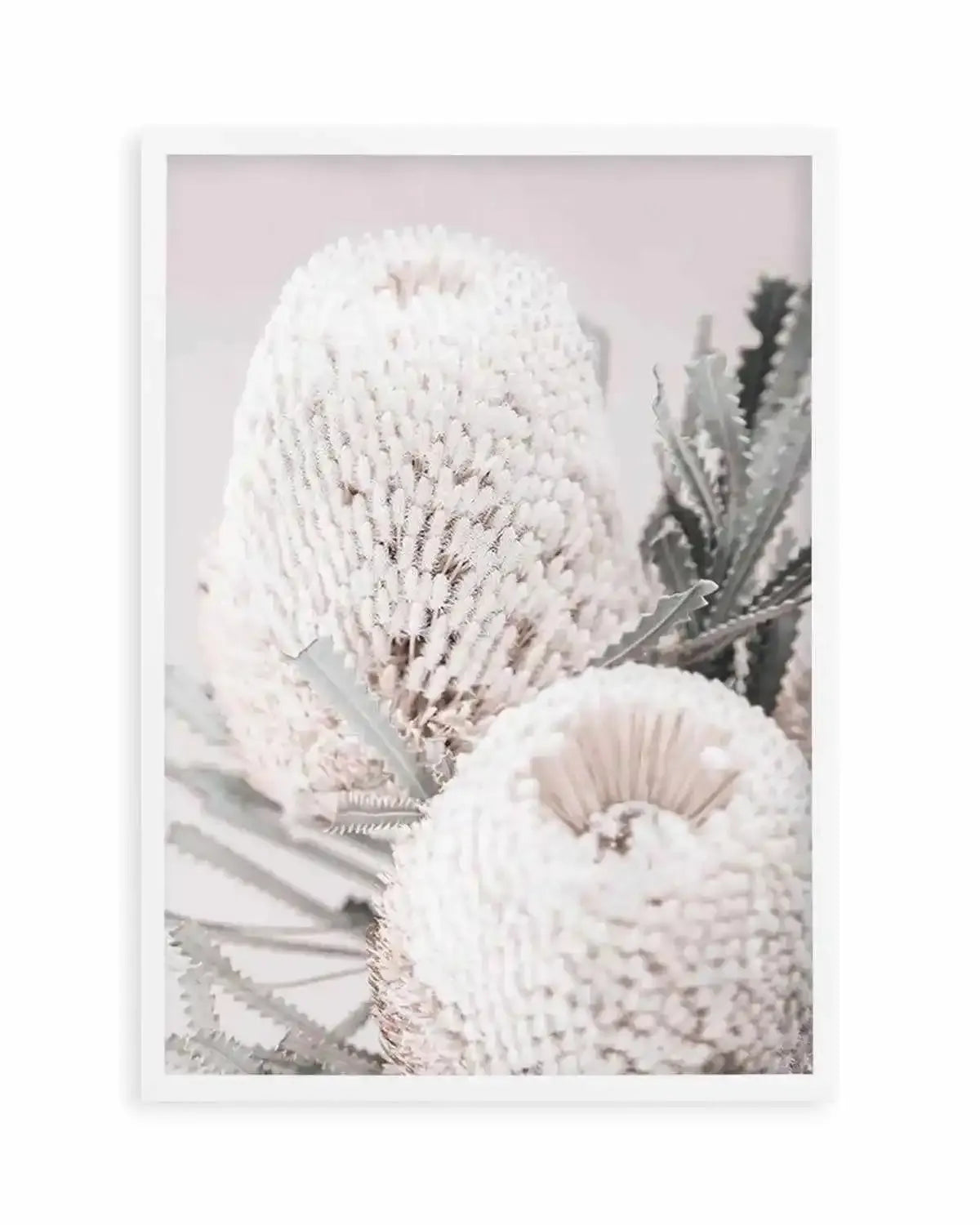 Nude Banksia II Art Print from Olive et Oriel where you can shop wallpaper and artworks online