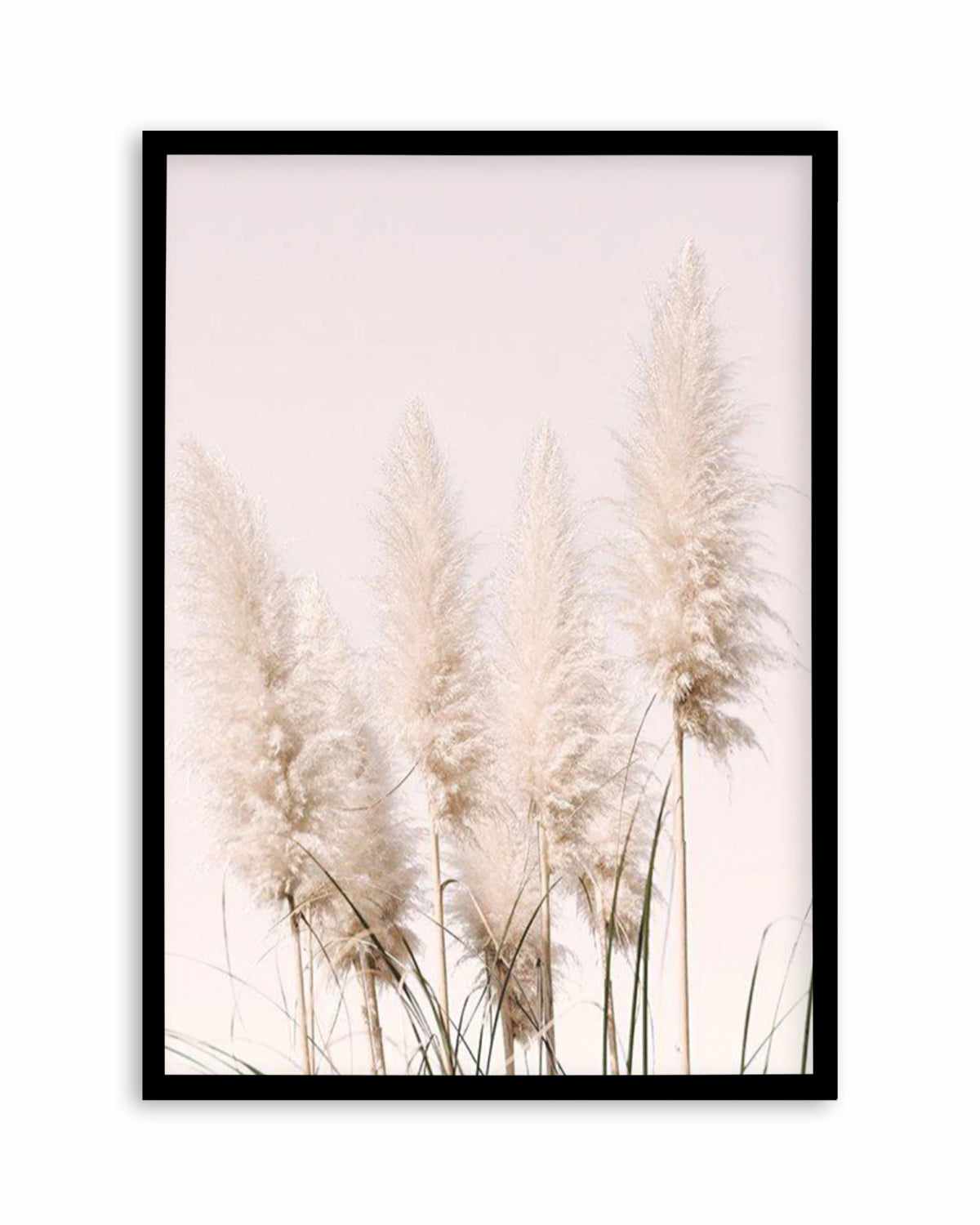 Nude Pampas I Art Print