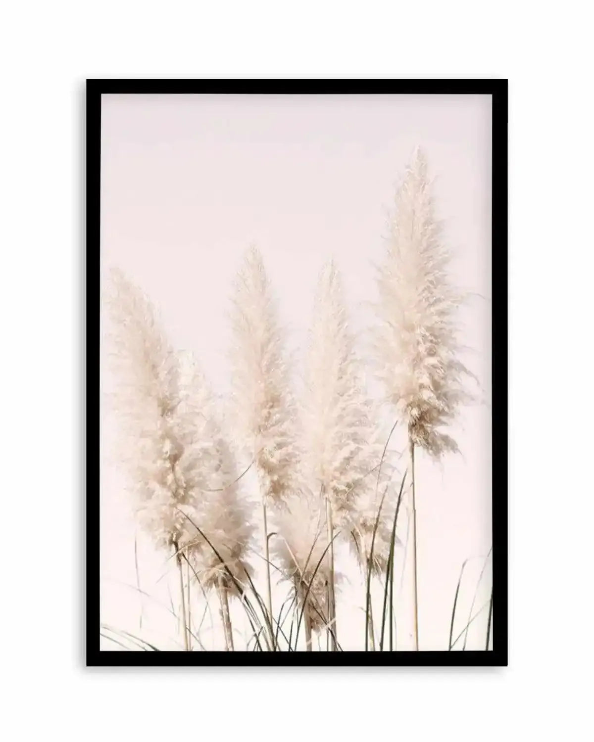 Nude Pampas I Art Print from Olive et Oriel where you can shop wallpaper and artworks online