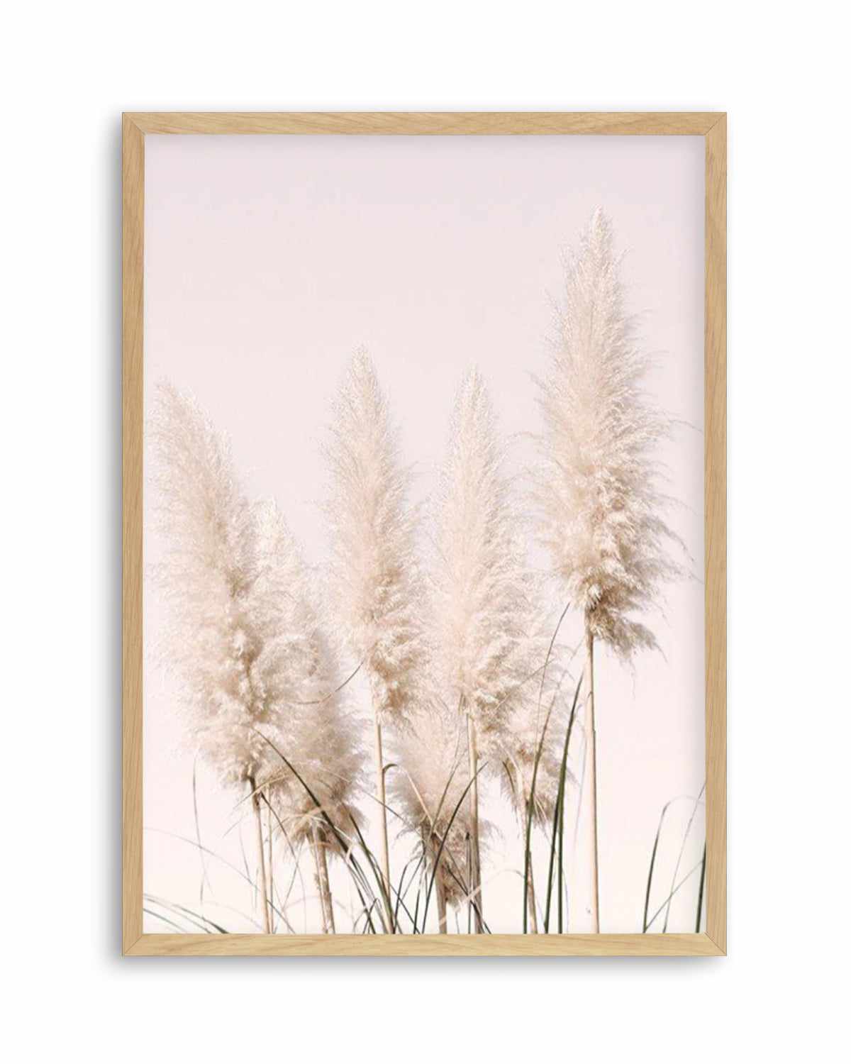 Nude Pampas I Art Print