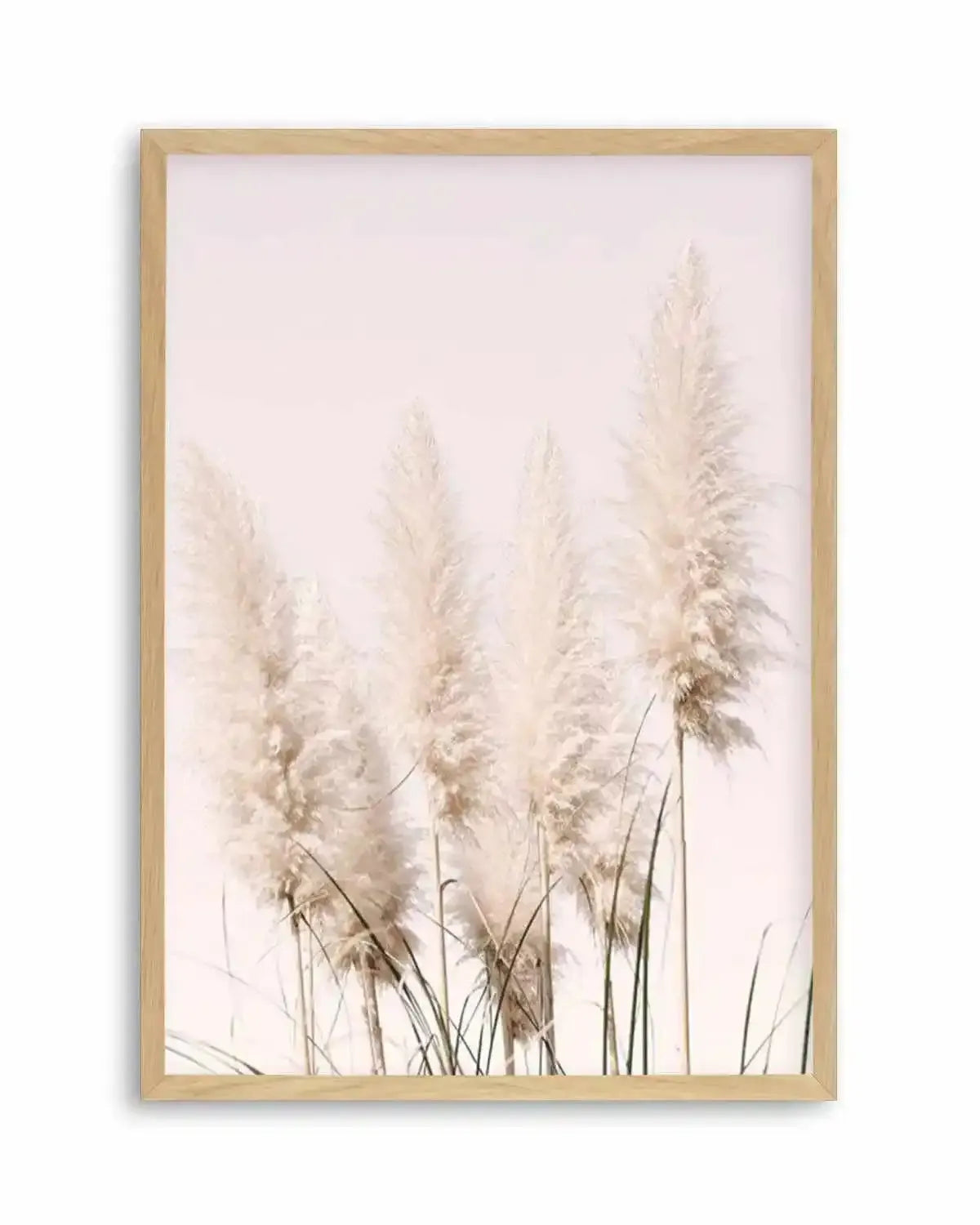 Nude Pampas I Art Print from Olive et Oriel where you can shop wallpaper and artworks online