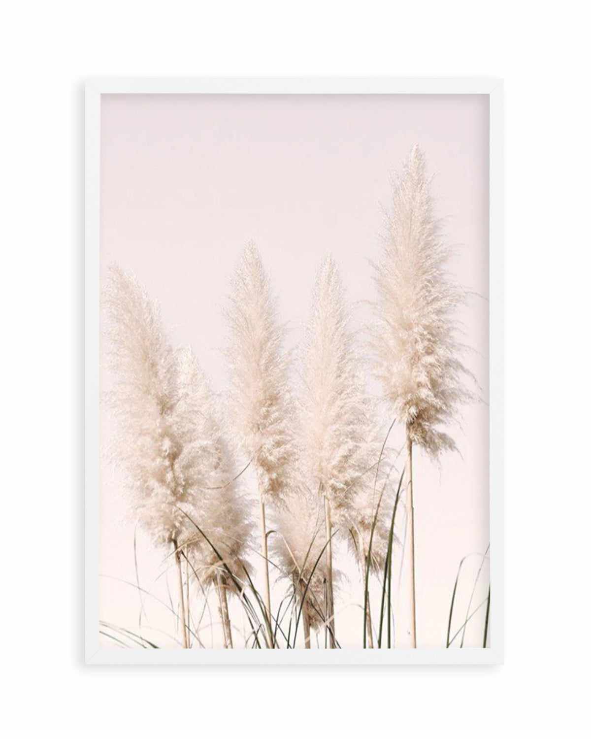 Nude Pampas I Art Print