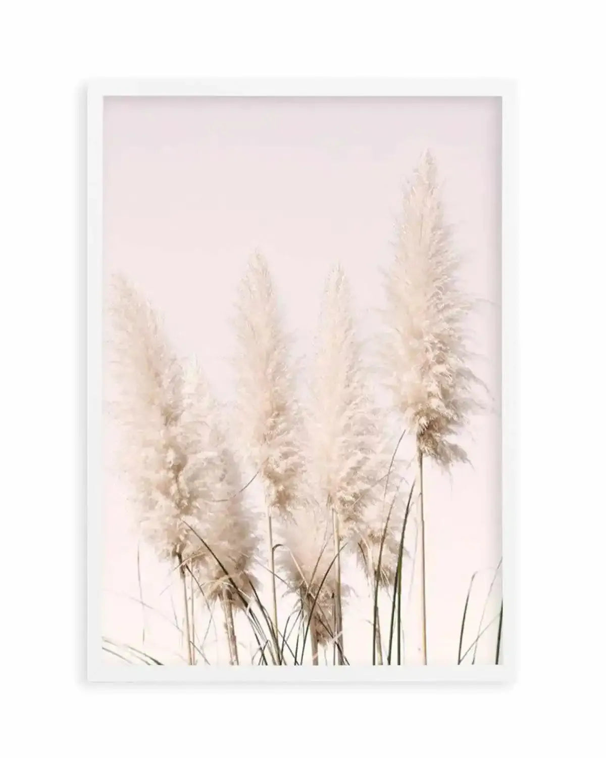 Nude Pampas I Art Print from Olive et Oriel where you can shop wallpaper and artworks online