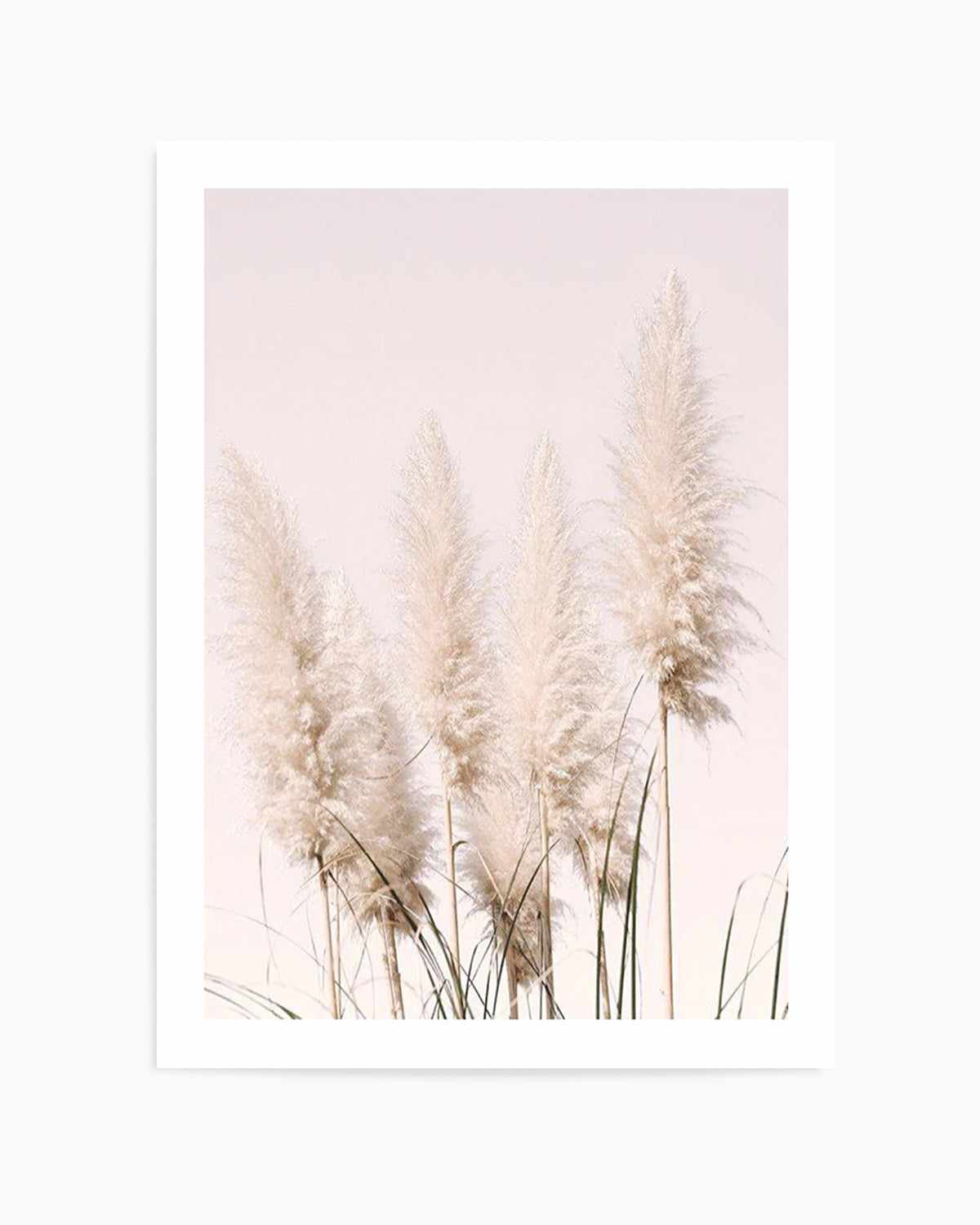 Nude Pampas I Art Print