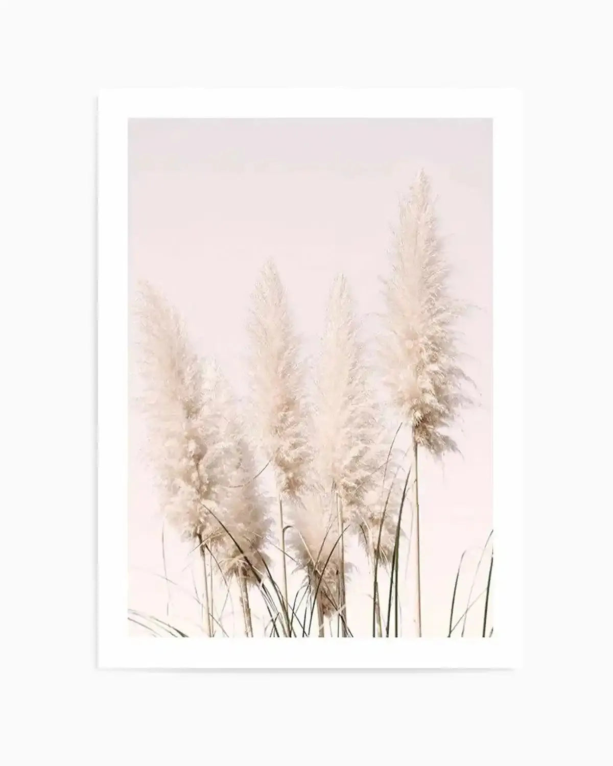 Nude Pampas I Art Print from Olive et Oriel where you can shop wallpaper and artworks online