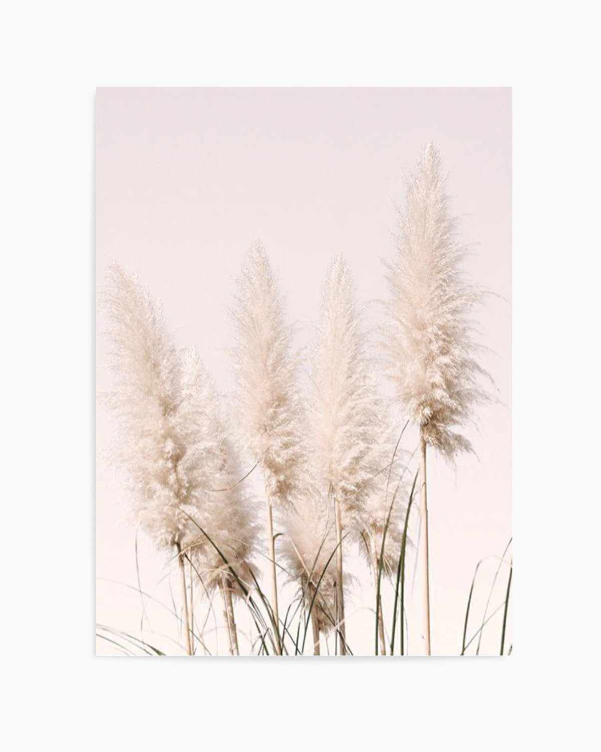 Nude Pampas I Art Print