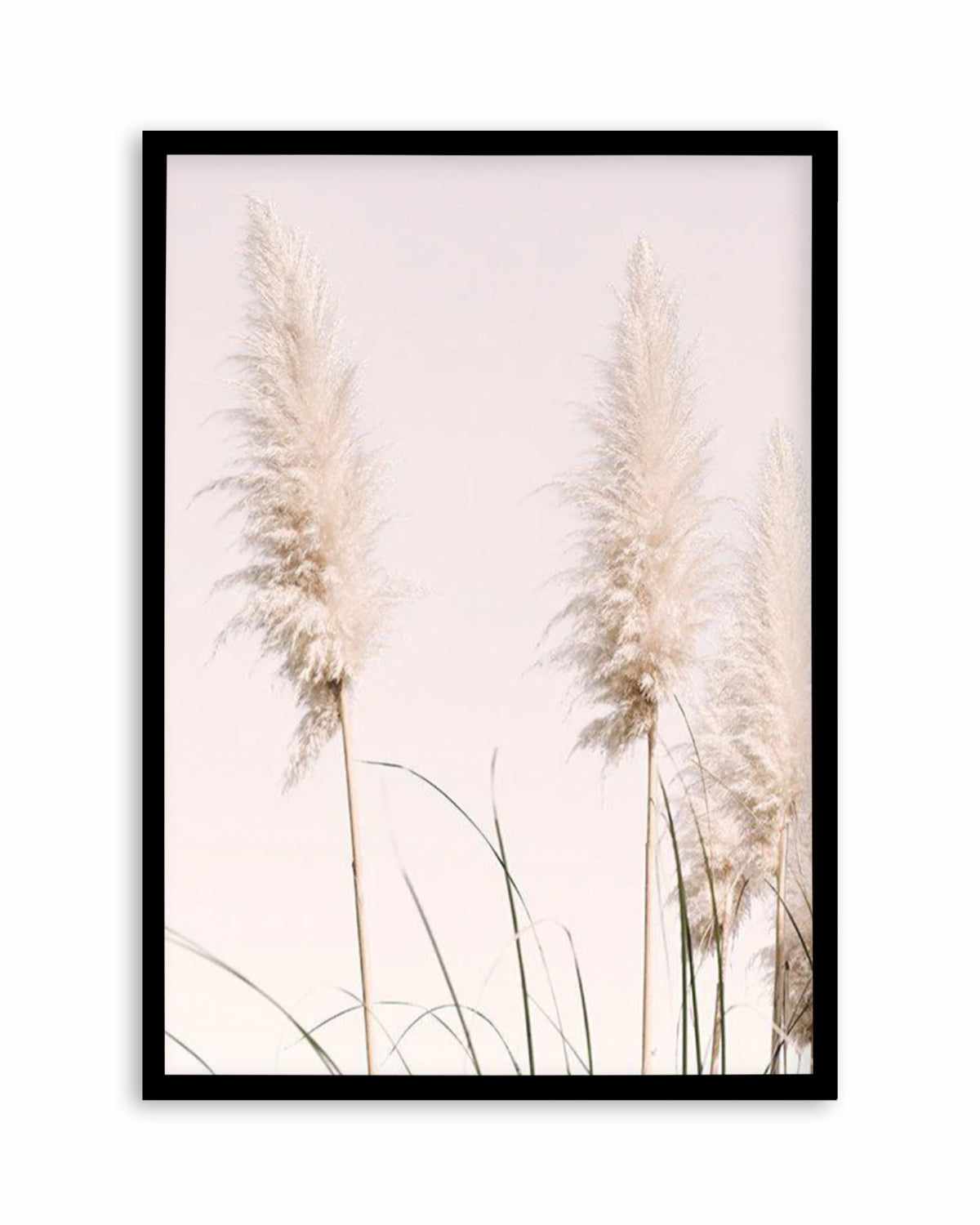 Nude Pampas II Art Print