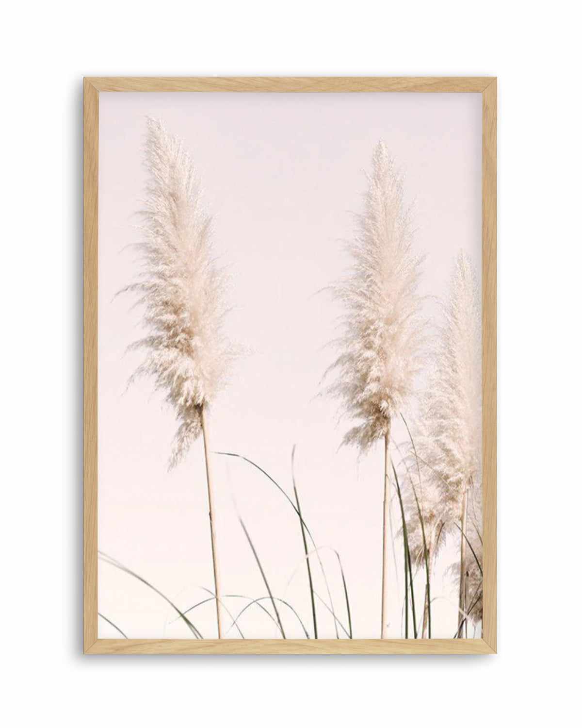 Nude Pampas II Art Print