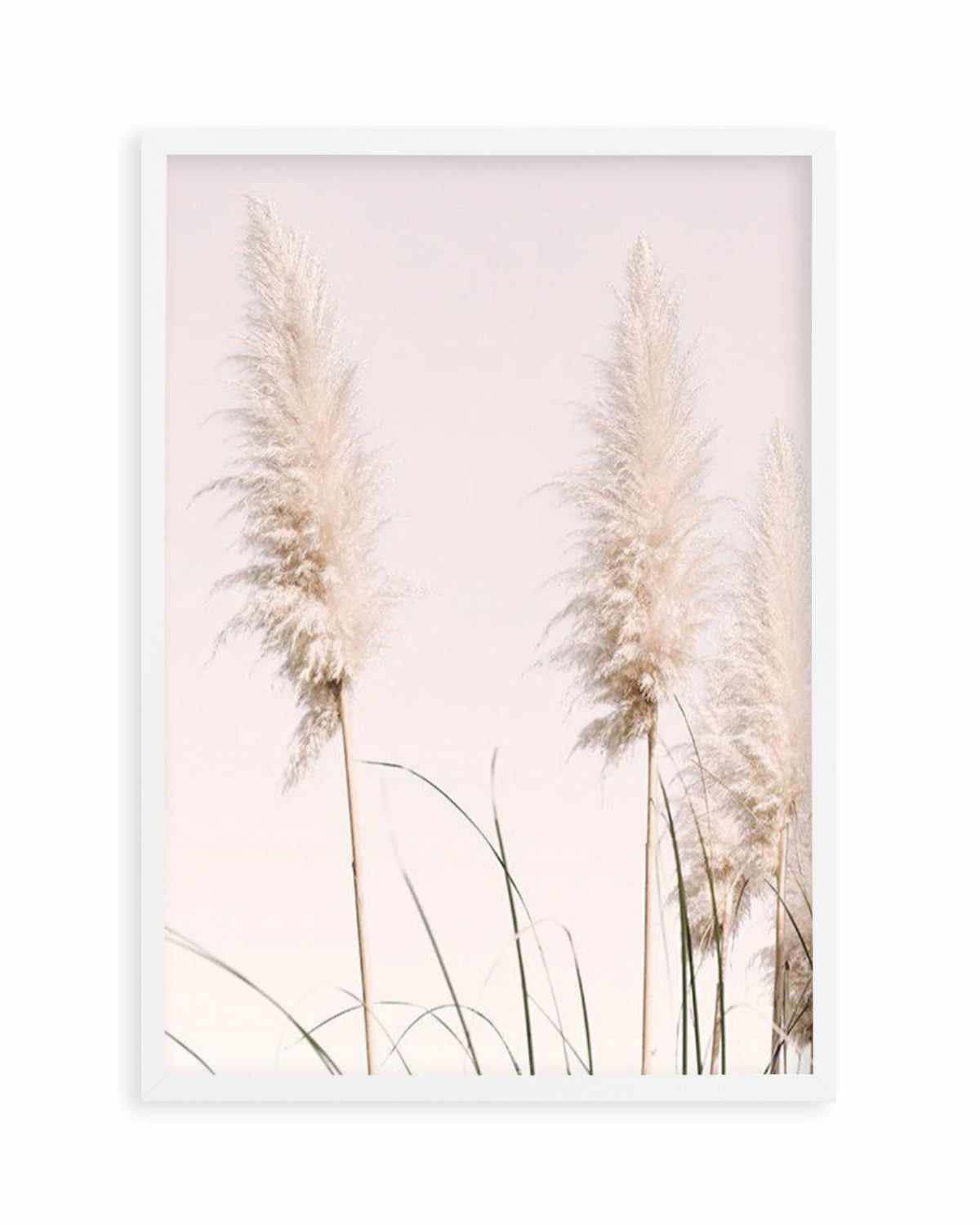 Nude Pampas II Art Print